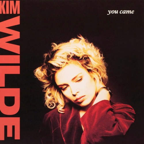 Vinyl / Kim Wilde - You Came