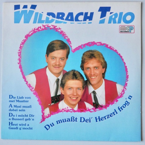 Vinyl / Wildbach Trio - Du Muasst Dei' Herzerl Frog'n