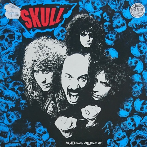 Vinyl / Skull (3) - No Bones About It