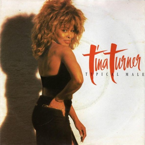 Vinyl / Tina Turner - Typical Male