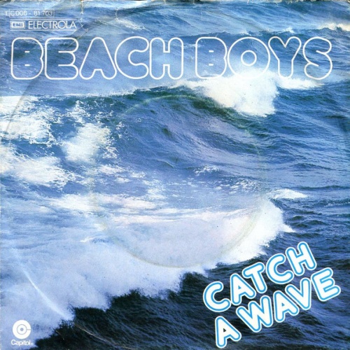 Vinyl / Beach Boys* - Catch A Wave