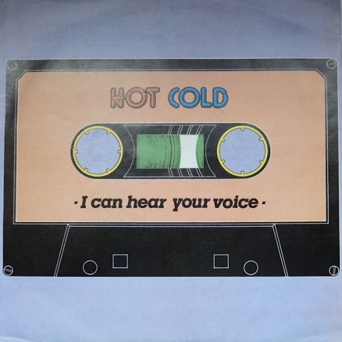 Vinyl / Hot Cold - I Can Hear Your Voice