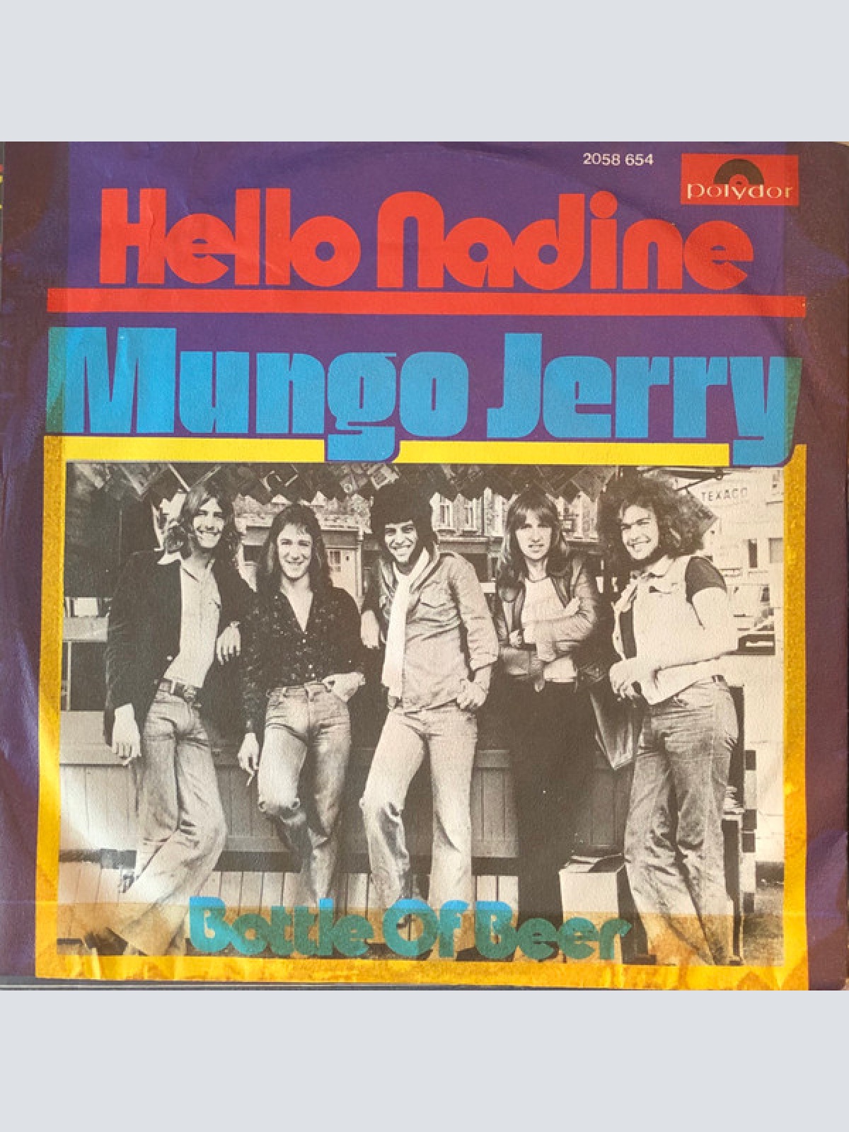Vinyl / Mungo Jerry - Hello Nadine
