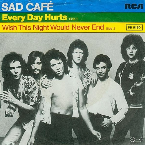 Vinyl / Sad Café - Every Day Hurts