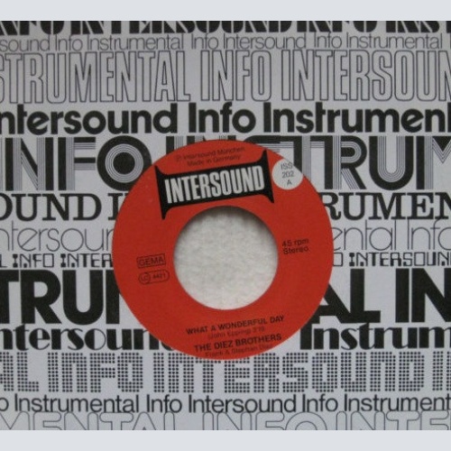 Vinyl / The Diez Brothers - What A Wonderful Day