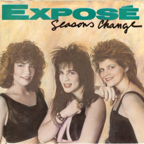 Vinyl / Exposé - Seasons Change