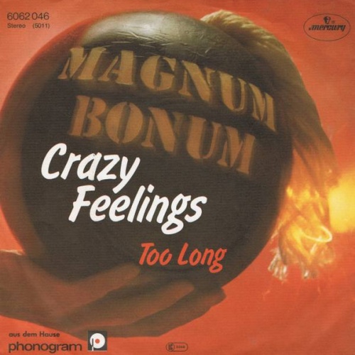Vinyl / Magnum Bonum - Crazy Feelings