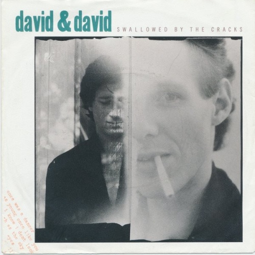 Vinyl / David & David* - Swallowed By The Cracks