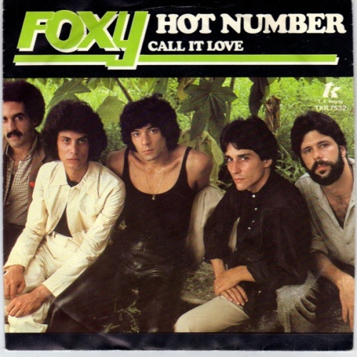 Vinyl / Foxy - Hot Number