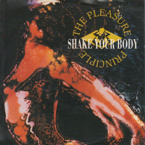 Vinyl / The Pleasure Principle - Shake Your Body