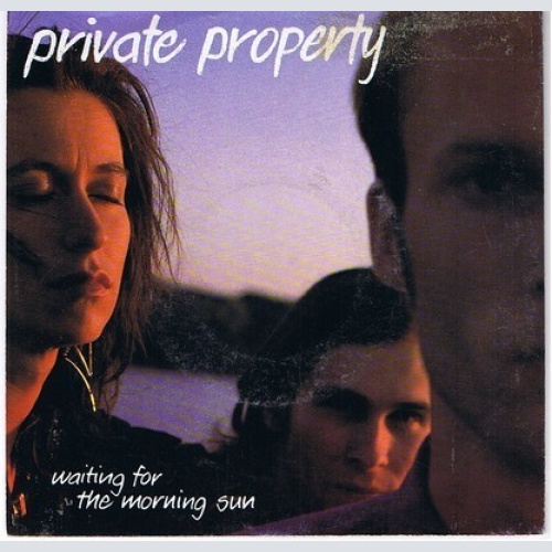 Vinyl / Private Property - Waiting For The Morning Sun