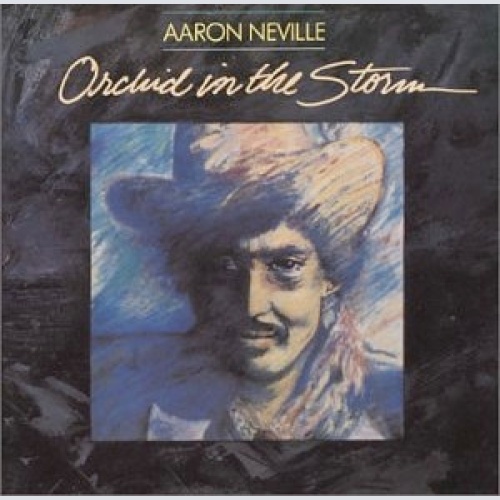 Vinyl / Aaron Neville - Orchid In The Storm