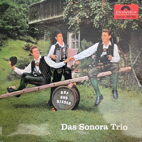 Vinyl / Das Sonora-Trio - Auf Und Nieder