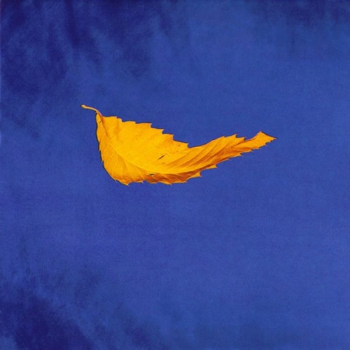 Vinyl / New Order - True Faith / 1963