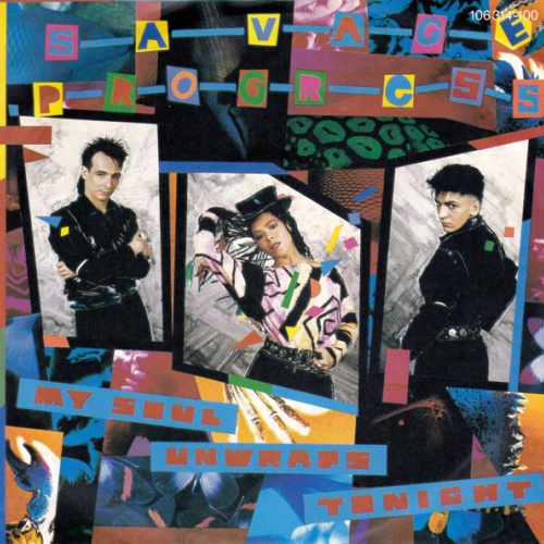 Vinyl / Savage Progress - My Soul Unwraps Tonight