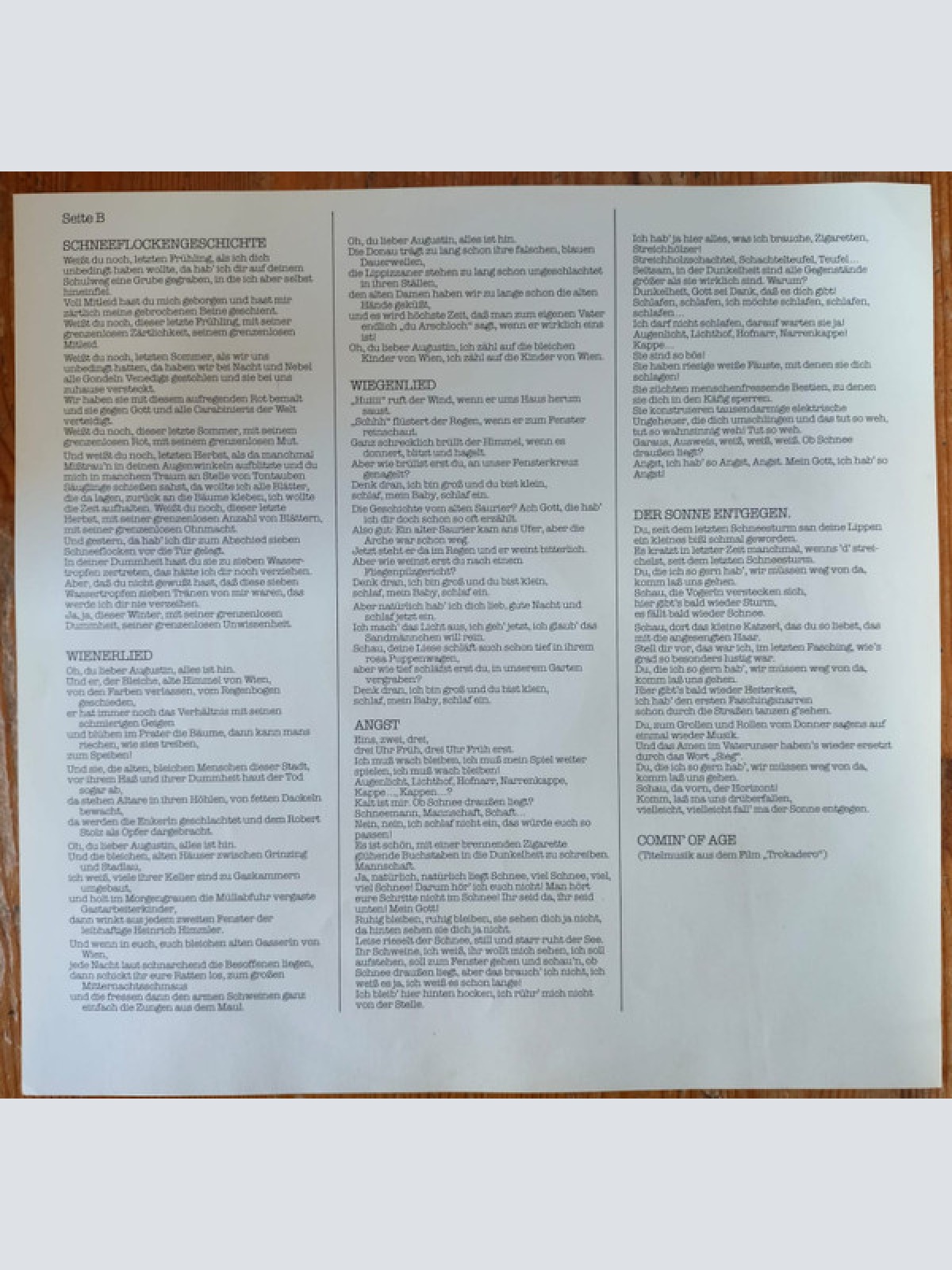 Vinyl / Ludwig Hirsch - Zartbitter