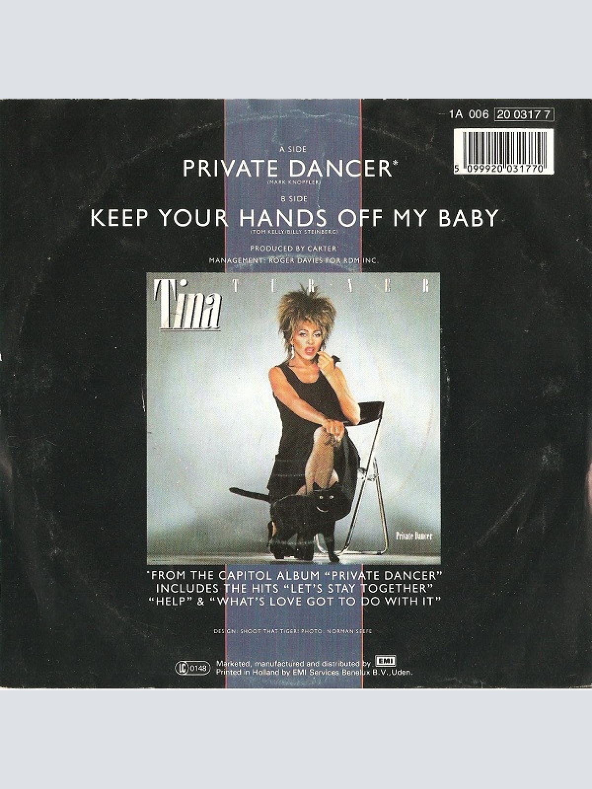Vinyl / Tina Turner - Private Dancer