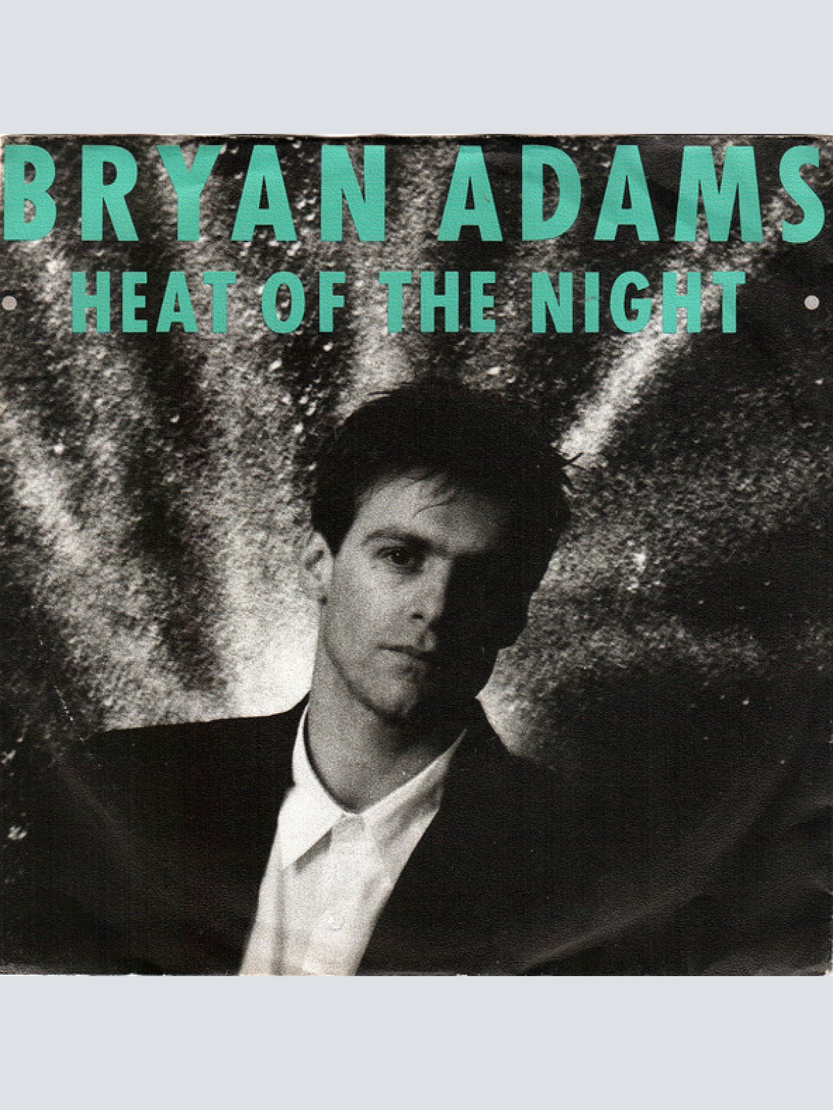 Vinyl / Bryan Adams - Heat Of The Night