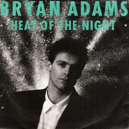 Vinyl / Bryan Adams - Heat Of The Night