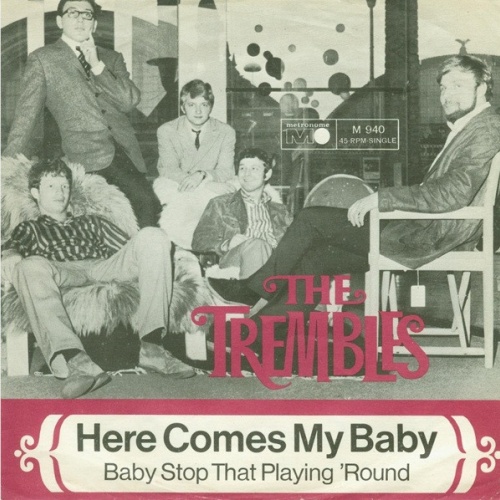 Vinyl / The Trembles (2) - Here Comes My Baby / Baby Stop That Playing 'Round