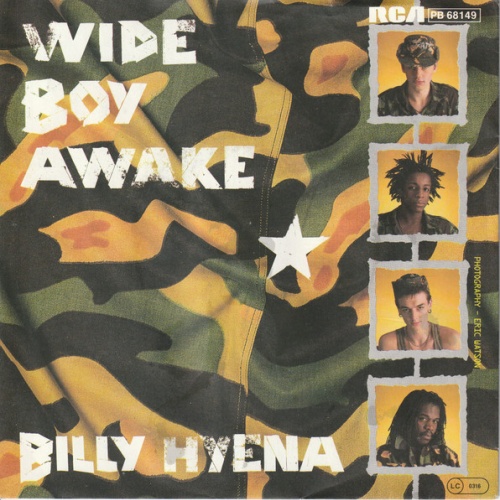 Vinyl / Wide Boy Awake - Billy Hyena