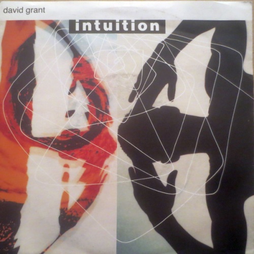 Vinyl / David Grant - Intuition