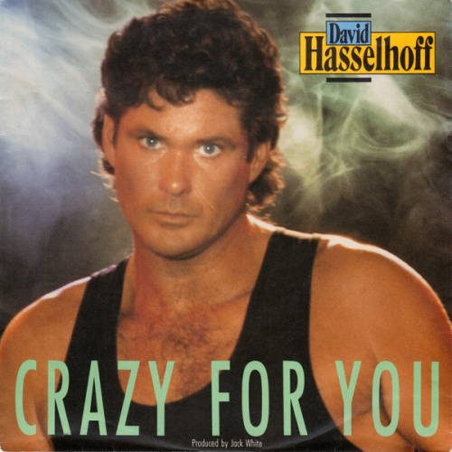 Vinyl / David Hasselhoff - Crazy For You
