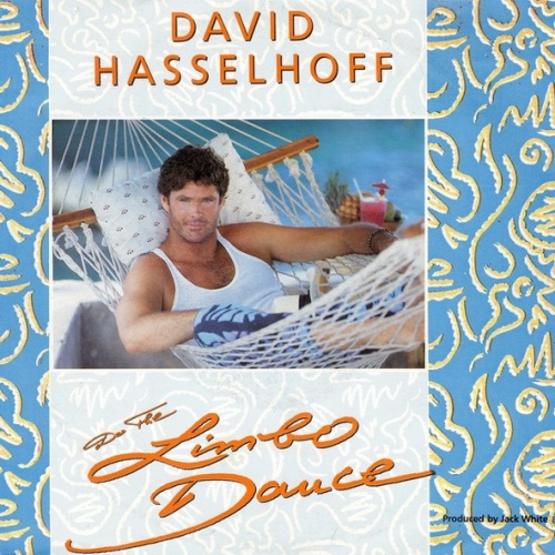 Vinyl / David Hasselhoff - Do The Limbo Dance