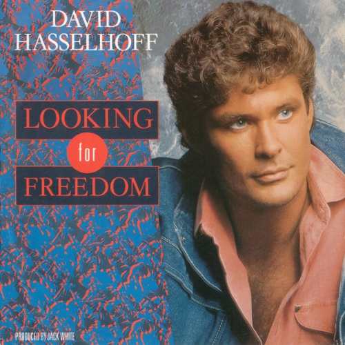 Vinyl / David Hasselhoff - Looking For Freedom