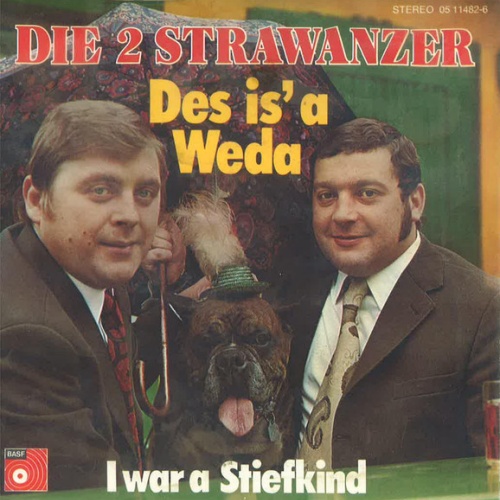 Vinyl / Die 2 Strawanzer - Des Is' A Weda