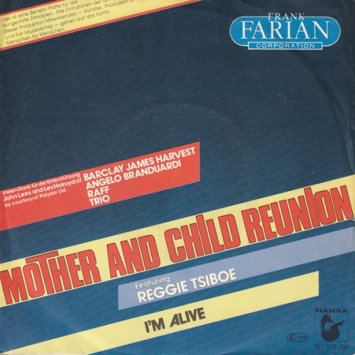 Vinyl / Frank Farian Corporation - Mother And Child Reunion