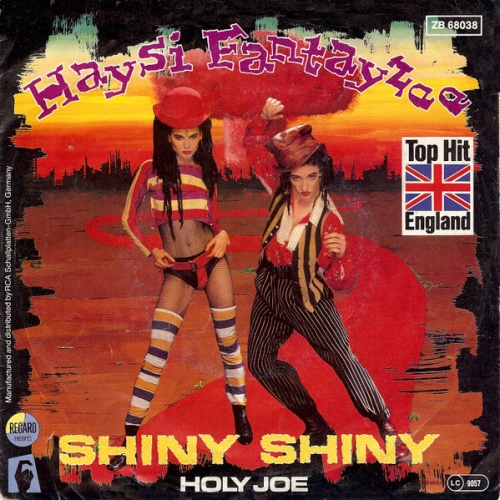 Vinyl / Haysi Fantayzee - Shiny Shiny