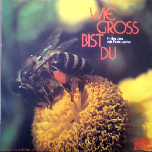 Vinyl / Hildor Janz - Wie Gross Bist Du
