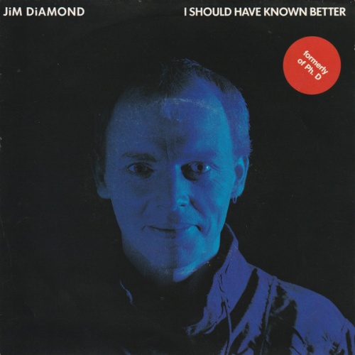 Vinyl / Jim Diamond - I Should Have Known Better