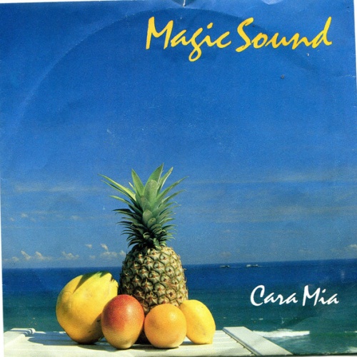Vinyl / Magic Sound (2) - Cara Mia