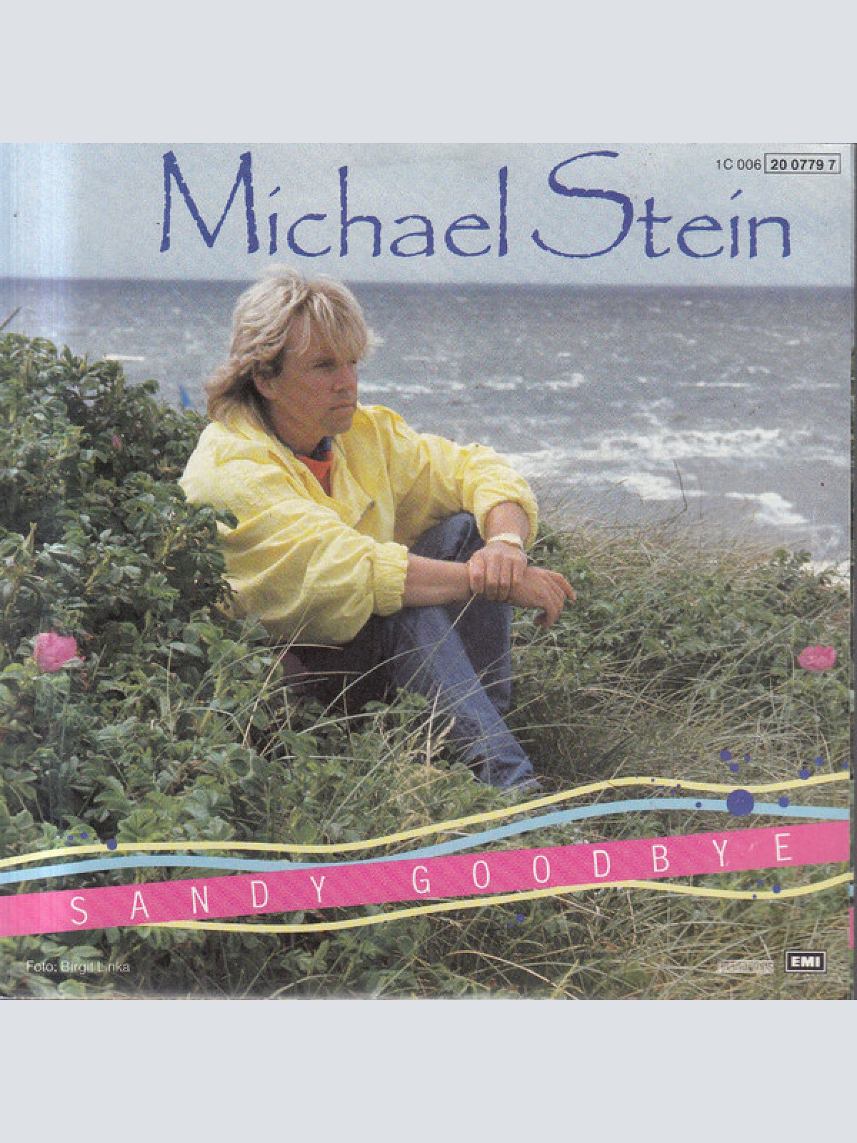 Vinyl / Michael Stein (3) - Sandy Goodbye