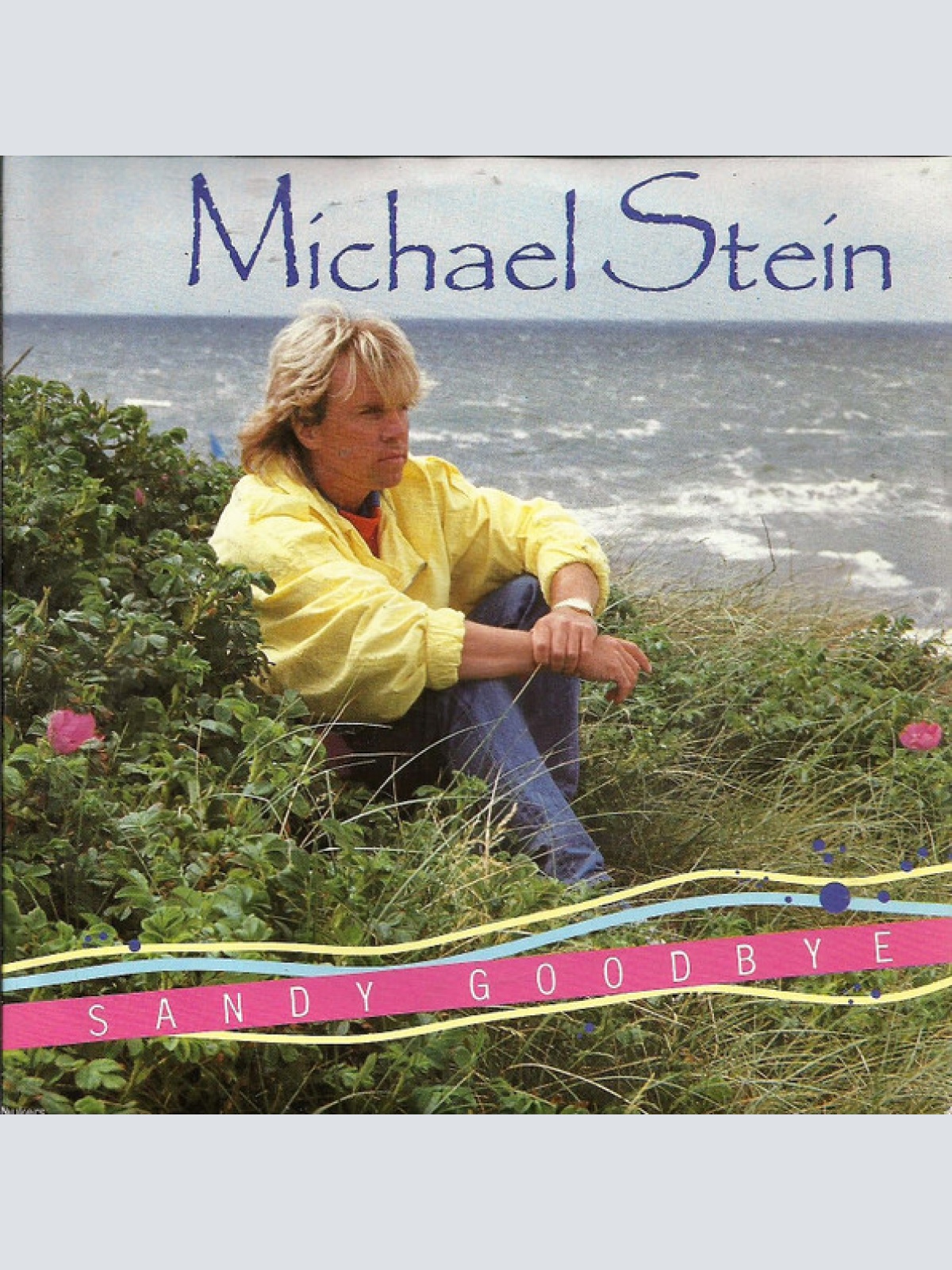 Vinyl / Michael Stein (3) - Sandy Goodbye