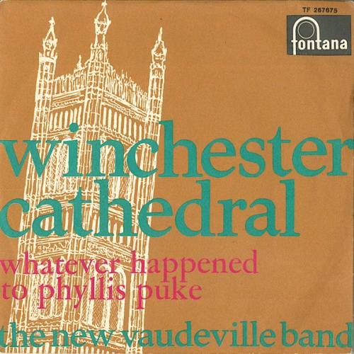 Vinyl / The New Vaudeville Band - Winchester Cathedral