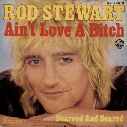 Vinyl / Rod Stewart - Ain't Love A Bitch
