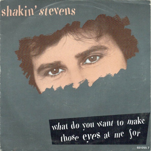 Vinyl / Shakin' Stevens - What Do You Want To Make Those Eyes At Me For