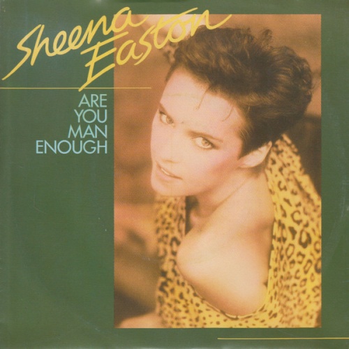Vinyl / Sheena Easton - Are You Man Enough
