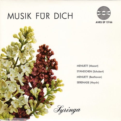 Vinyl / Süddeutsches Philharmonisches Orchester*, Franz Hartwig - Musik Für Dich (Syringa)