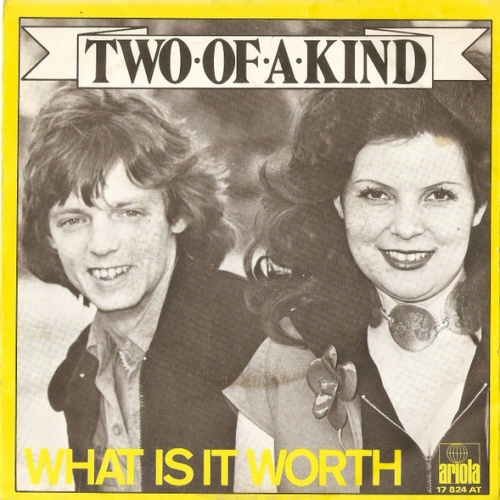 Vinyl / Two Of A Kind (7) - What Is It Worth / Two Of A Kind