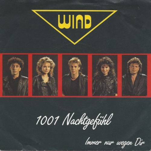 Vinyl / Wind (4) - 1001 Nachtgefühl