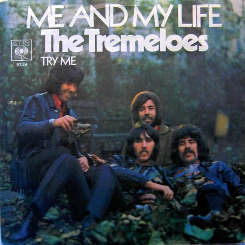 Vinyl / The Tremeloes - Me And My Life