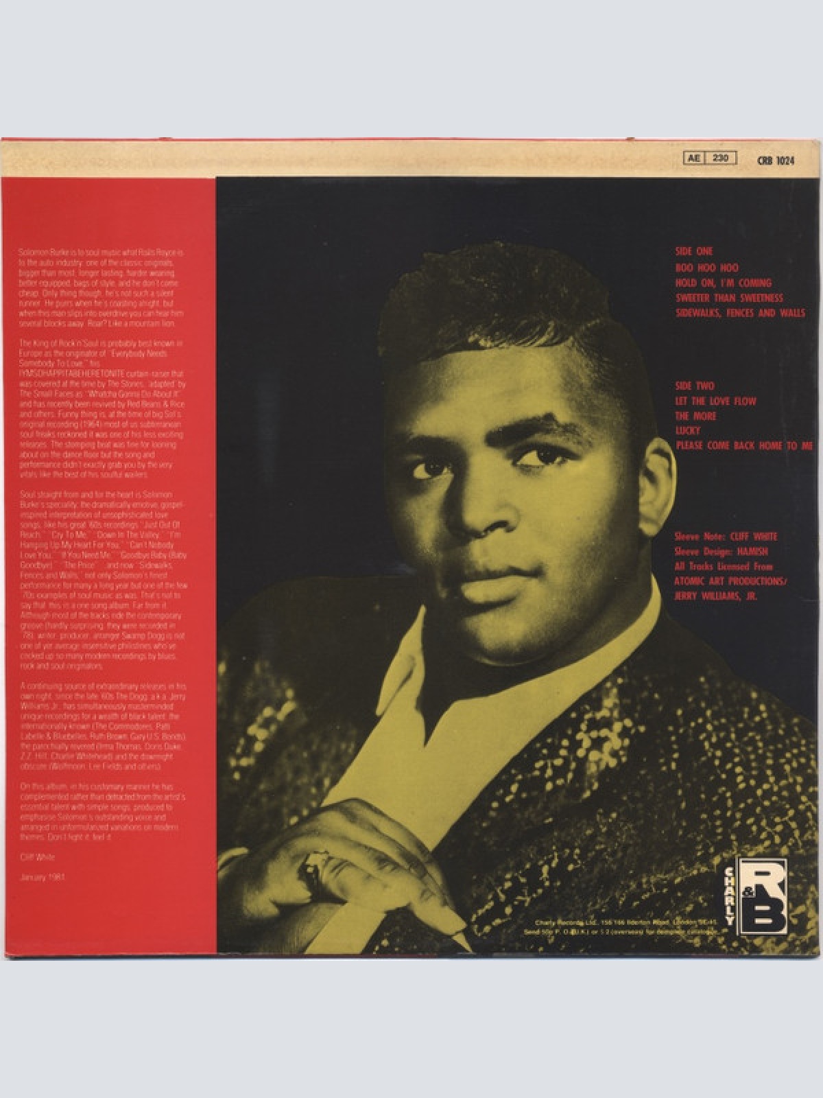 Vinyl / Solomon Burke - From The Heart