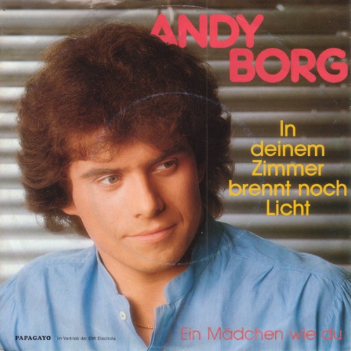 Vinyl / Andy Borg - In Deinem Zimmer Brennt Noch Licht
