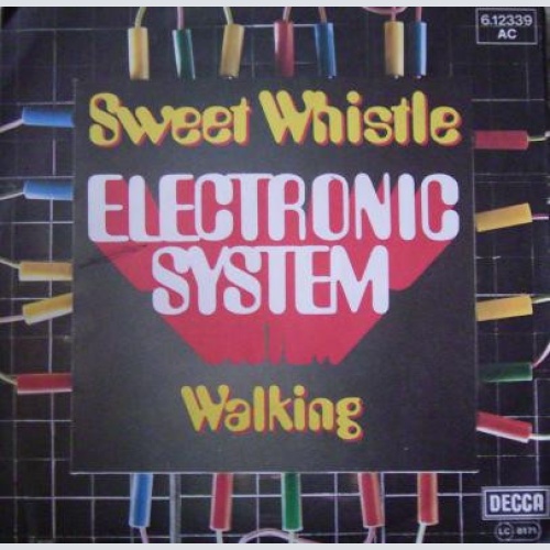 Vinyl / Electronic System - Sweet Whistle / Walking