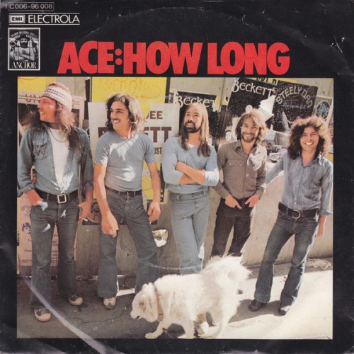 Vinyl / Ace (7) - How Long