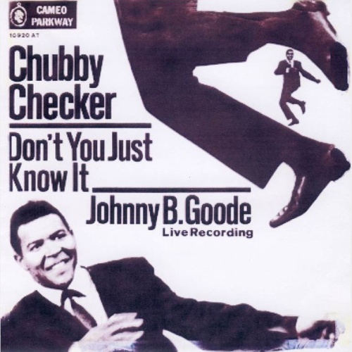 Vinyl / Chubby Checker - Don't You Just Know It / Johnny B. Goode